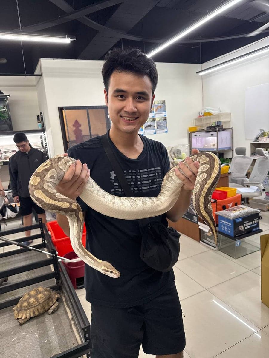 Tran Quang Minh Duy holding a python at a reptile shop